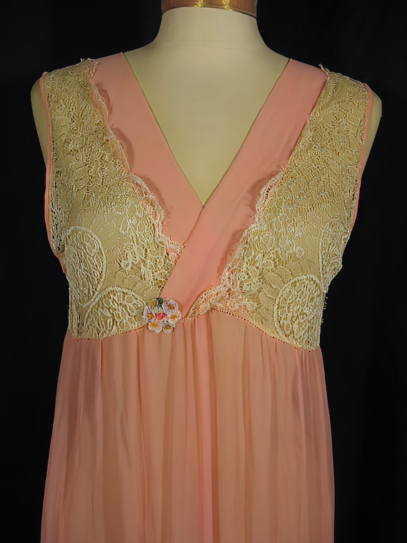 1920s Nightgown Silk Chiffon and Lace - image 2