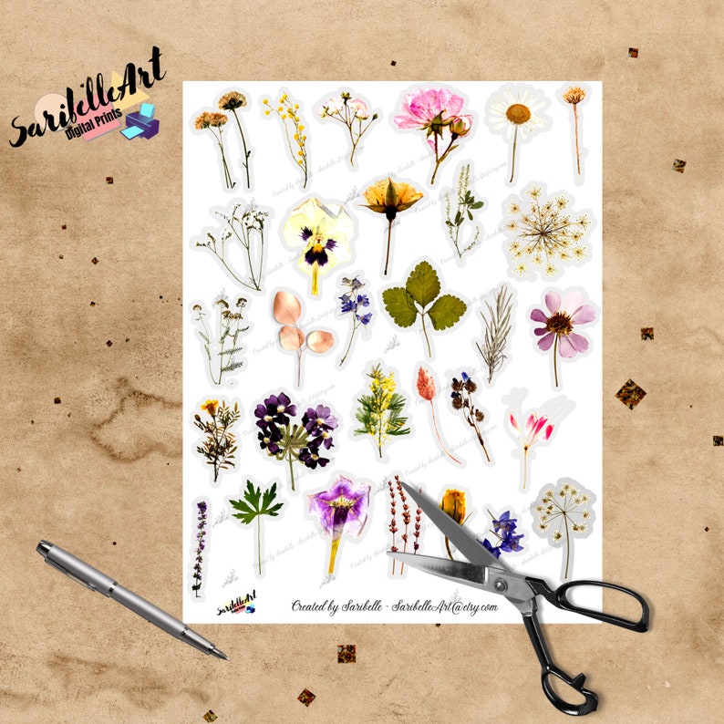 Dried Flowers, Floral Printable Stickers, Daily Stickers for Your ...