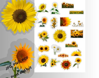 Sunflowers Printable Stickers, Print and Cut Stickers