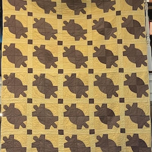 Vintage Turtle Quilt