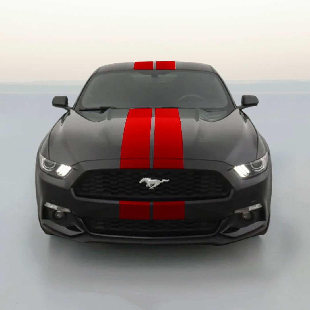 Ford mustang racing stripes discount