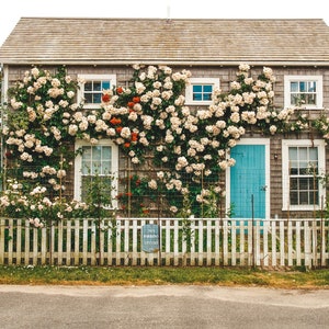 NANTUCKET PHOTOGRAPHY, Beach Photo, Cape Cod, Massachusetts, New England, Summer, Coastal, Island, Flowers, Cottage