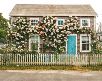 NANTUCKET PHOTOGRAPHY, Beach Photo, Cape Cod, Massachusetts, New England, Summer, Coastal, Island, Flowers, Cottage