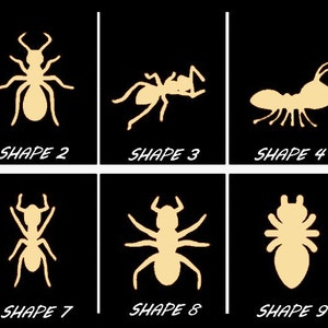 Smooth Laser Cut Ant Shape Set 1 - Unfinished Cutout - Many Sizes, Styles, and Designs - 3mm Or 6mm Wooden Craft Supply