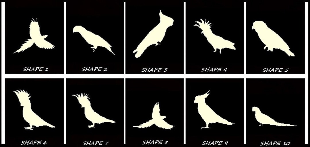 Smooth Laser Cut Parrot Shape Set 1 - Unfinished Cutout - Many Sizes ...