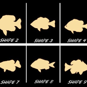 Smooth Laser Cut Bluegill Fish Shape Set 1 - Unfinished Cutout - Many Sizes, Styles, and Designs - 3mm Or 6mm Wooden Craft Supply