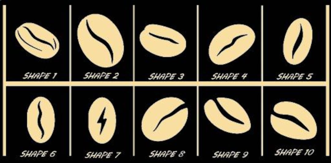 Smooth Laser Cut Coffee Bean Shape Set 1 - Unfinished Cutout - Many ...