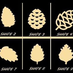 May include: A black and gold graphic featuring ten different leaf and pinecone shapes, each labeled with the word "SHAPE" followed by a number from 1 to 10. The shapes vary in detail and style, suitable for design or educational purposes.