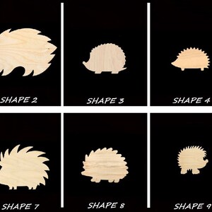 Smooth Laser Cut Hedgehog Shape Set 1 - Unfinished Cutout - Many Sizes, Styles, and Designs - 3mm Or 6mm Wooden Craft Supply