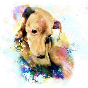 May include: A brown dog with large dark eyes and floppy ears, wearing a silver bone-shaped tag with the text Hershey, depicted in a vibrant watercolor style with splashes of blue, pink, yellow, and purple paint against a white background.
