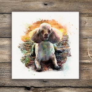 May include: A square canvas print featuring a watercolor-style illustration of a light-colored poodle dog. The dog is shown in a seated position with its front paws extended forward, set against a vibrant, abstract background of orange and green.