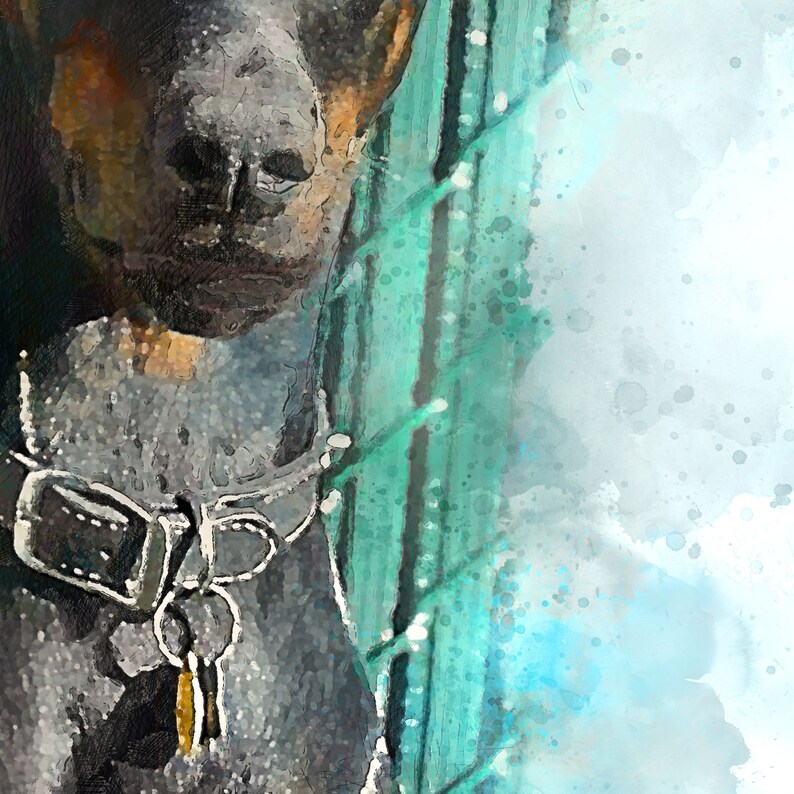 May include: A watercolor-style illustration of a dark-furred animal wearing a collar with a metal buckle and a dangling key. The composition features a textured teal and white background with visible paint splatters and brushstroke effects.