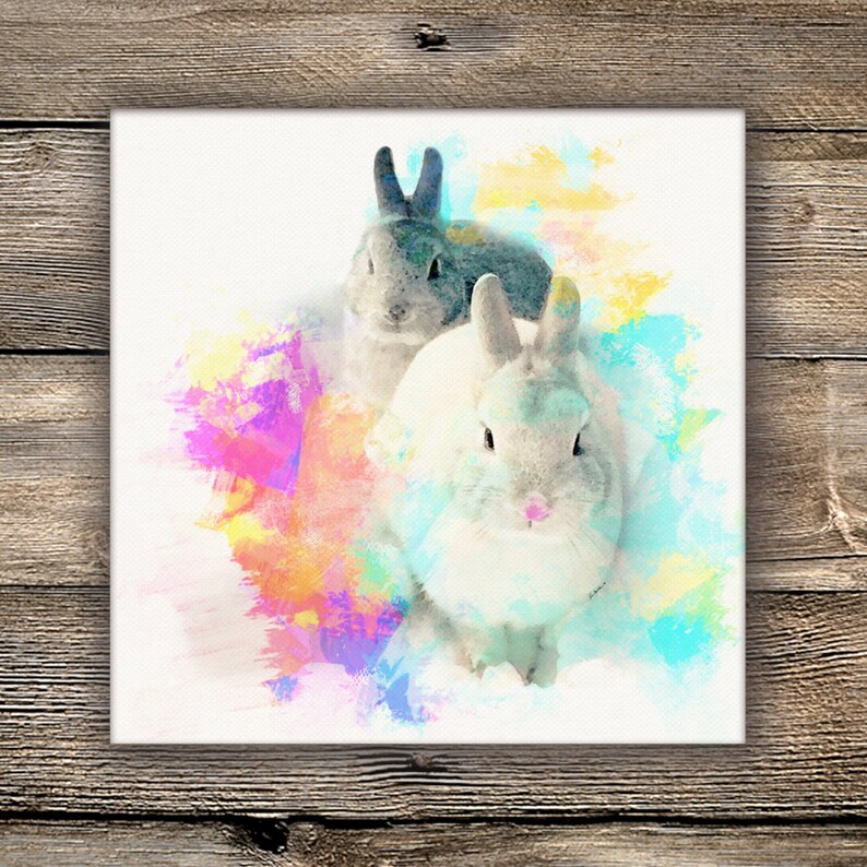 May include: A square canvas print featuring two rabbits, one white and one grey, set against a vibrant watercolor background with splashes of pink, yellow, orange, and blue. The artwork displays a soft, painterly aesthetic with visible brushstrokes.
