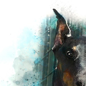 May include: A watercolor-style illustration of a Doberman dog's head, featuring black and tan fur, a pointed ear, and a dark eye. The artwork uses splashes of teal, blue, and white paint to create a textured, artistic effect against a white background.