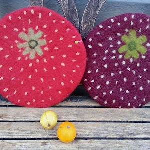 Handfelted Seat Cushion, Strawberry