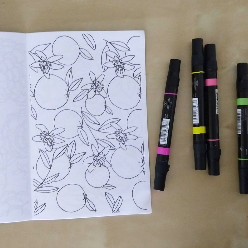 Download FLOWERS coloring book zine PDF Download | Etsy