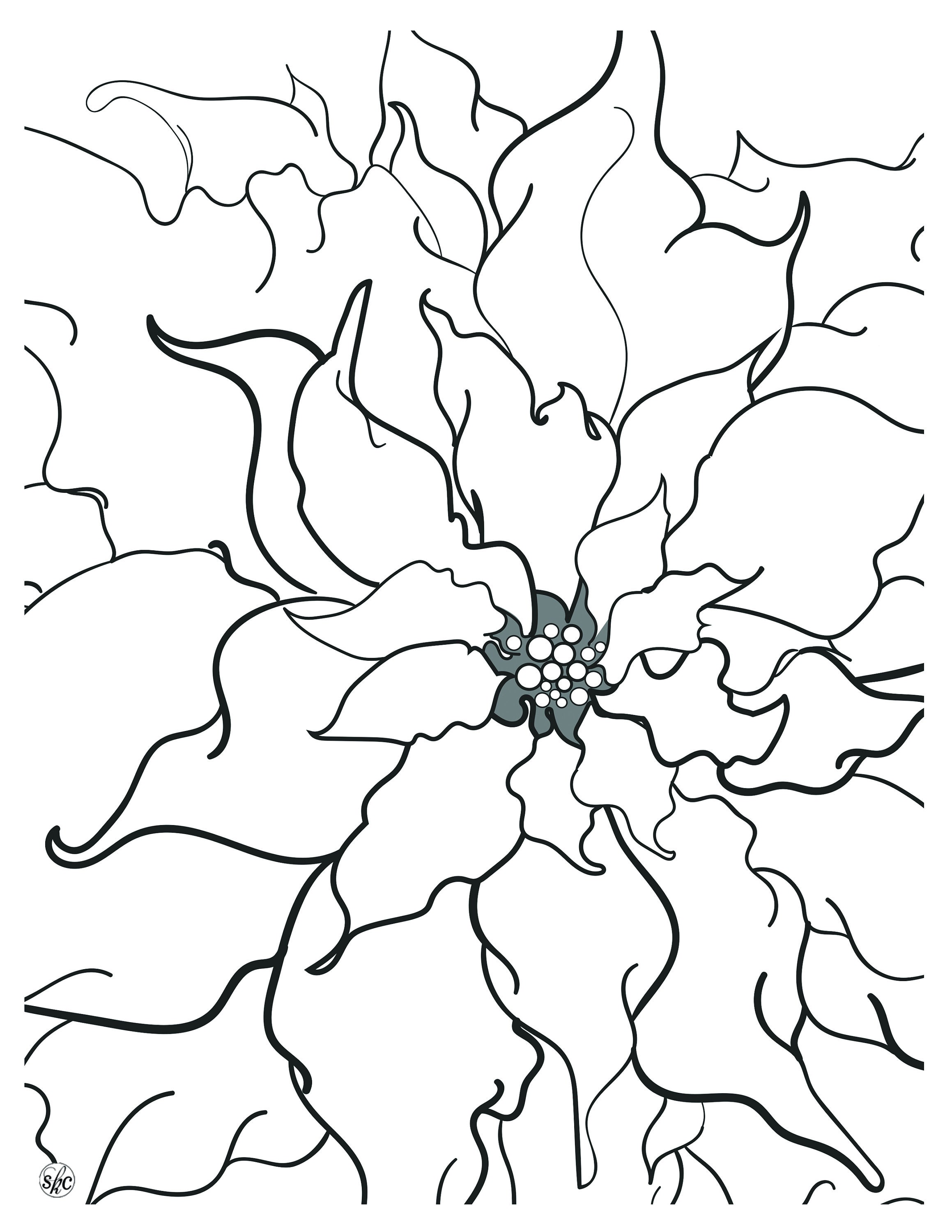 Christmas Coloring Page For Adults Poinsettia Coloring Page