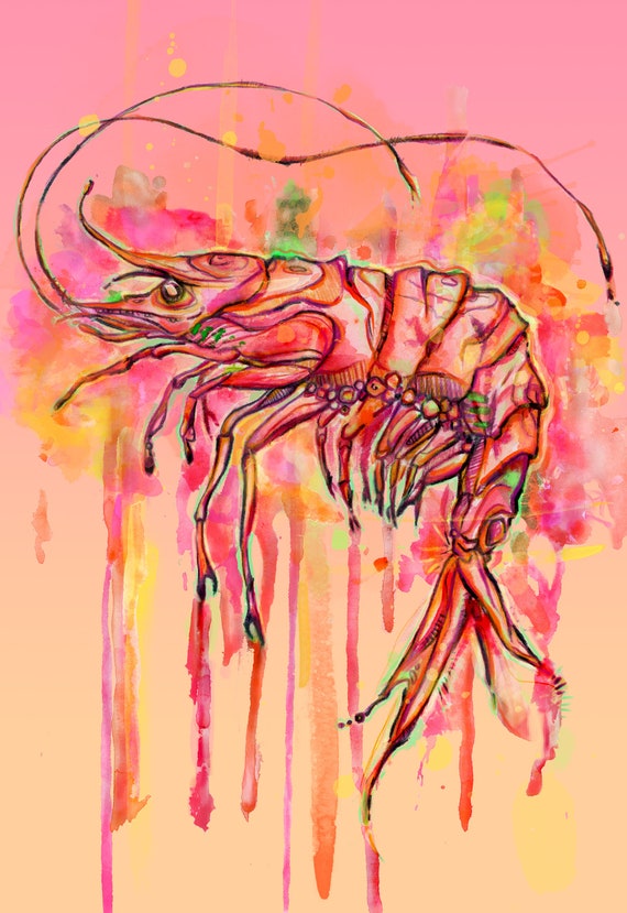 Mullcontainer Garnelen A4 Kunstdruck Poster Etsy