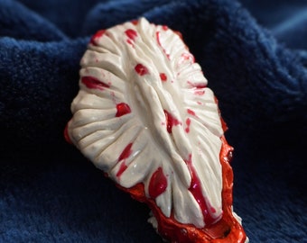 Amanita Muscaria Bloedende Mosseloesterzwam