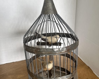 May include: A vintage-style metal birdcage with two small, tan-colored birds inside. The cage has a conical top and a circular base, with vertical bars and horizontal rings. The metal has a distressed, aged appearance, suggesting it is an antique.