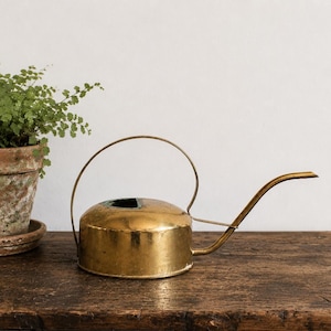 May include: A polished brass watering can with a low, cylindrical body, a thin arched handle, and a long, slender spout. Beside it sits a weathered, terracotta-colored clay flower pot containing a small, vibrant green fern plant.