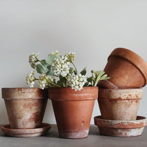 VINTAGE | assorted medium sized terracotta pots | 5 5/8 to 6 3/8 diameter | European farmhouse | aged terracotta | rustic garden porch pots