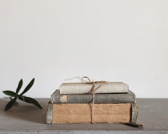 VINTAGE | book stack trio | vintage library | dark academia | set of three antique books