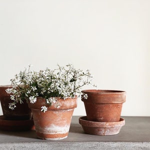 VINTAGE | assorted small terracotta pots | 4 to 5 1/2 diameter | authentic aged terracotta | European farmhouse | terracotta herb planters