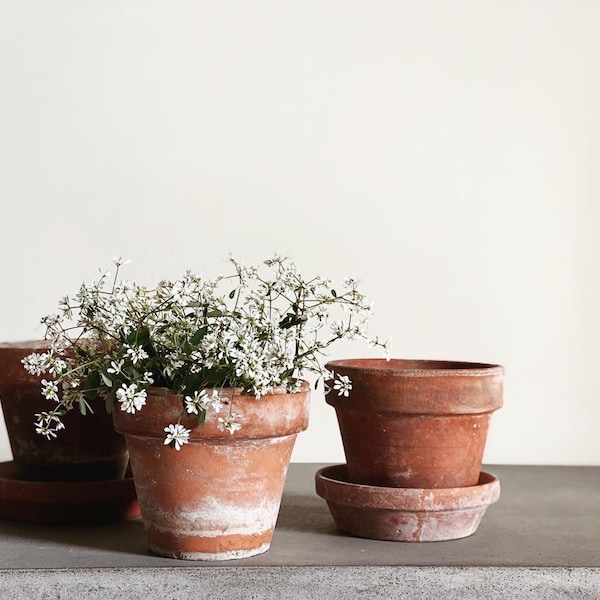 VINTAGE | assorted small terracotta pots | authentic aged terracotta planters | modern farmhouse | terracotta herb planters