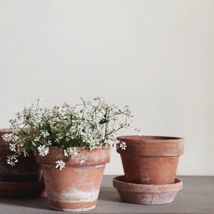 VINTAGE | assorted small terracotta pots | 4 to 5 1/2 diameter | authentic aged terracotta | European farmhouse | terracotta herb planters