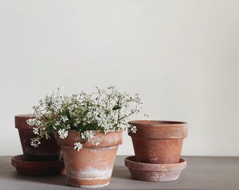 VINTAGE | Assorted Aged Terracotta Pots | Herb Planters | Small Clay Pots 4 to 5 1/2 diameter