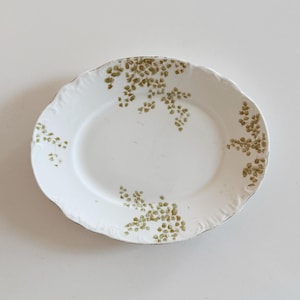 May include: White oval serving plate with a scalloped edge and a gold rim. The plate is decorated with a pattern of small, olive-green floral clusters. A classic piece for serving appetizers or desserts.