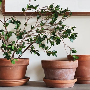 VINTAGE | assorted XL terracotta pots | 7 3/4 inch diameter plus | European farmhouse | aged terracotta planters | rustic garden porch pots