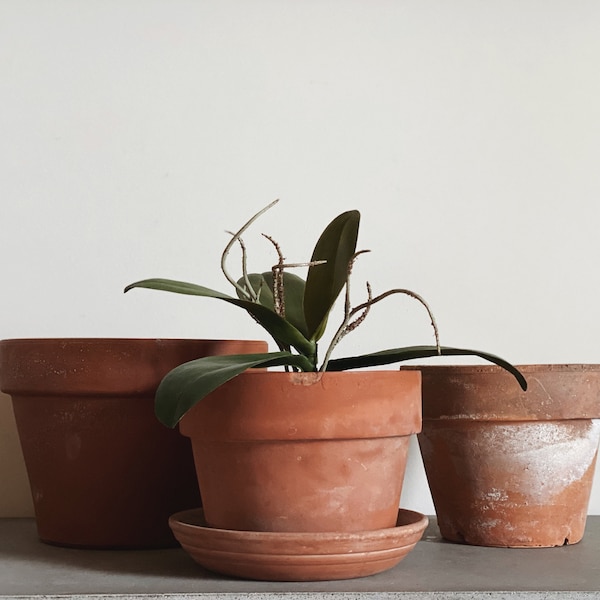 VINTAGE | assorted large terracotta pots | 6 1/2 to 7 5/8 diameter | European farmhouse | aged terracotta | rustic garden and porch pots