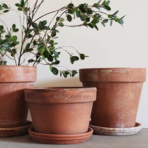 May include: Three terracotta plant pots of varying sizes, each with a matching saucer. The central pot features the embossed text "LV 25" and "MADE IN ITALY" on its rim. The pots have a weathered, earthy orange finish and a classic tapered shape.