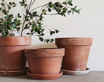 VINTAGE | Assorted Aged Terracotta Pots | European Style Farmhouse | XL Clay Pots (7 3/4 in diameter and up)