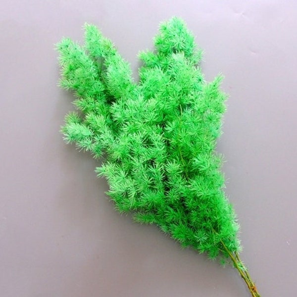 Green Ming Fern 2-4 Stems  Dried Fern / Asparagus Fern/ Bleached Flowers / Dried Flowers / Preserved Flowers