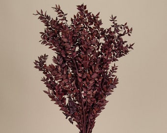 Burgundy Italian Ruscus Dried 5 Stems / Preserved Ruscus / Burgundy wedding flowers / Fall Dried Flowers