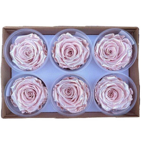 Pink Satin Preserved Natural Roses - Eternity Roses - Forever Roses- 6 pack