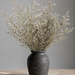 May include: A dark charcoal grey ceramic vase with a rounded body and a narrow neck, filled with a large, airy arrangement of dried white and light beige statice flowers that spread outwards in a wide, branching, and delicate botanical display.