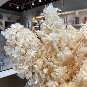 May include: A cluster of dried, cream-colored hydrangea blossoms with delicate, papery petals. Thin, bare, dark brown twigs extend upward from the center of the floral arrangement, providing a contrast to the soft, light-toned flower heads.