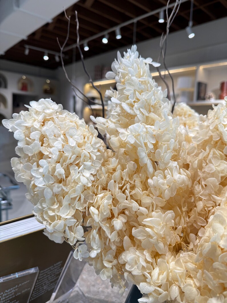 May include: A cluster of dried, cream-colored hydrangea blossoms with delicate, papery petals. Thin, bare, dark brown twigs extend upward from the center of the floral arrangement, providing a contrast to the soft, light-toned flower heads.
