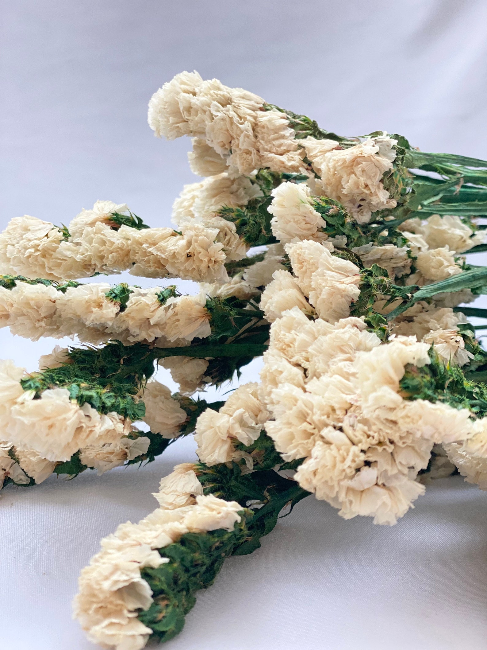 Dried Statice Flowers Bunch / Bleached Flowers / Dried Flowers Etsy