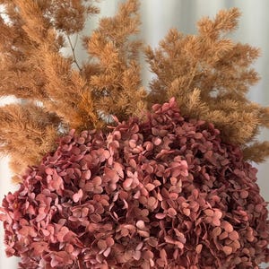 May include: A bouquet of dried flowers featuring a large, dense cluster of deep mauve hydrangea blossoms positioned in front of tall, feathery, light brown plumes of dried grass, all arranged in a textured, light-colored cylindrical container.