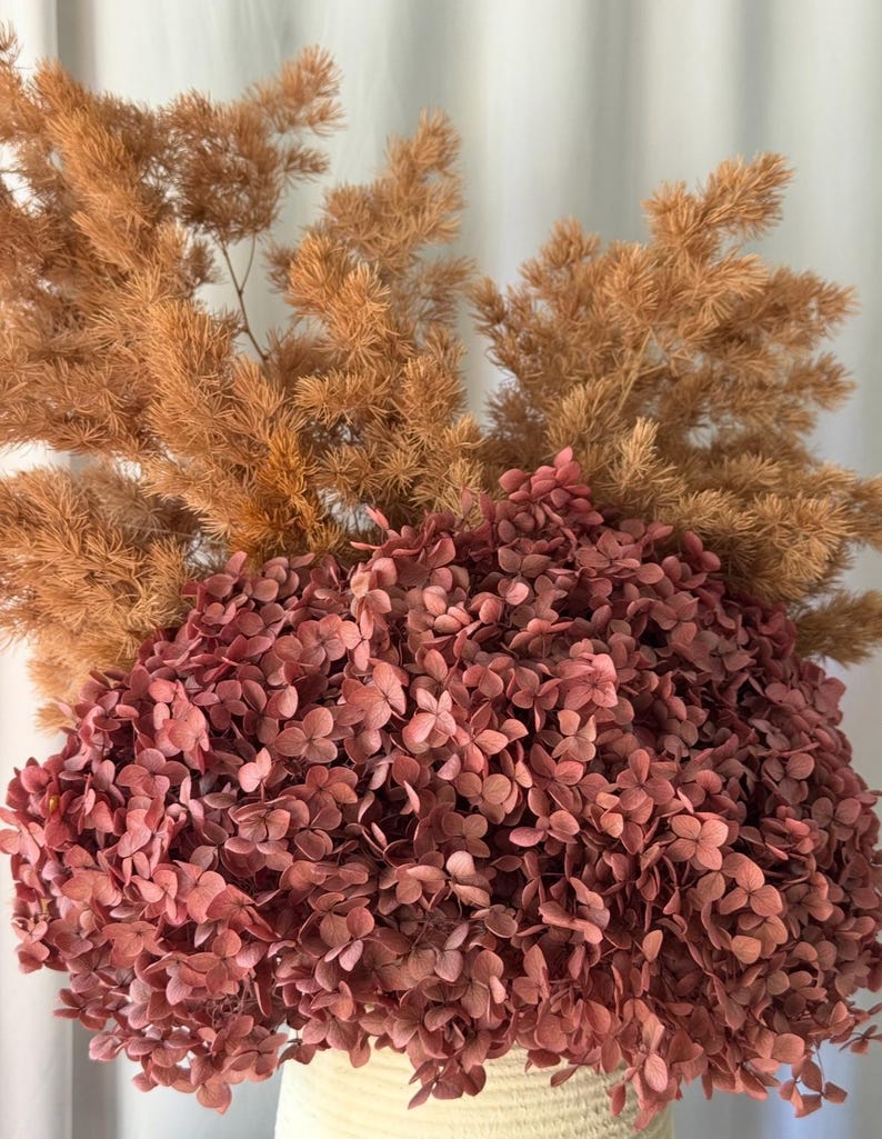 May include: A bouquet of dried flowers featuring a large, dense cluster of deep mauve hydrangea blossoms positioned in front of tall, feathery, light brown plumes of dried grass, all arranged in a textured, light-colored cylindrical container.