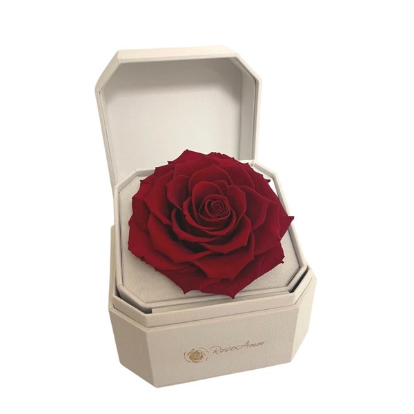 Red Rose Gift - Preserved Natural Roses - Eternity Roses - Forever Rose