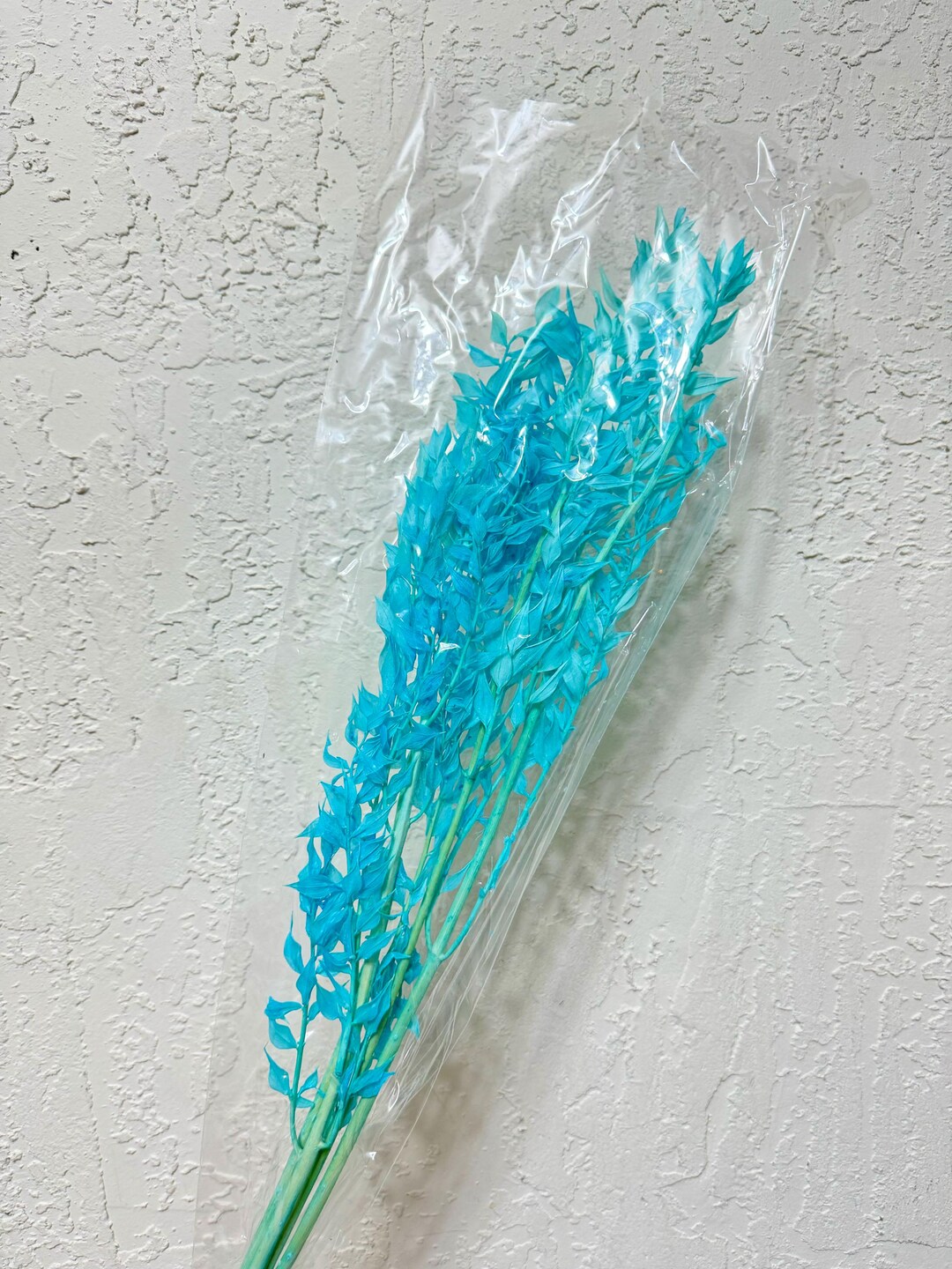Light Blue Italian Ruscus Leaves - 5 Stems - Ruscus Branches - Etsy