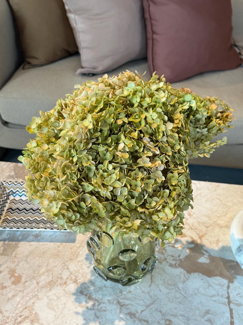 May include: A large, dense bouquet of dried hydrangea flowers in shades of muted green and pale yellow, arranged in a clear, thick glass vase with a textured, circular bubble pattern on the exterior surface of the glass base.
