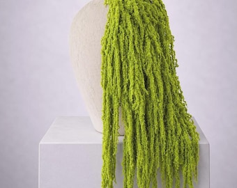 Lime Green Amaranthus | Long Hanging Stems | 5 Stems | Dried Preserved Amaranthus | Wedding Greenery & Home Decor