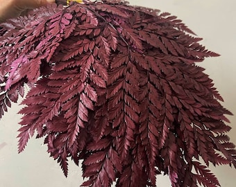 Burgundy Fern Leather Leaf - 10 Stems  / Preserved Fern / Dried Fern